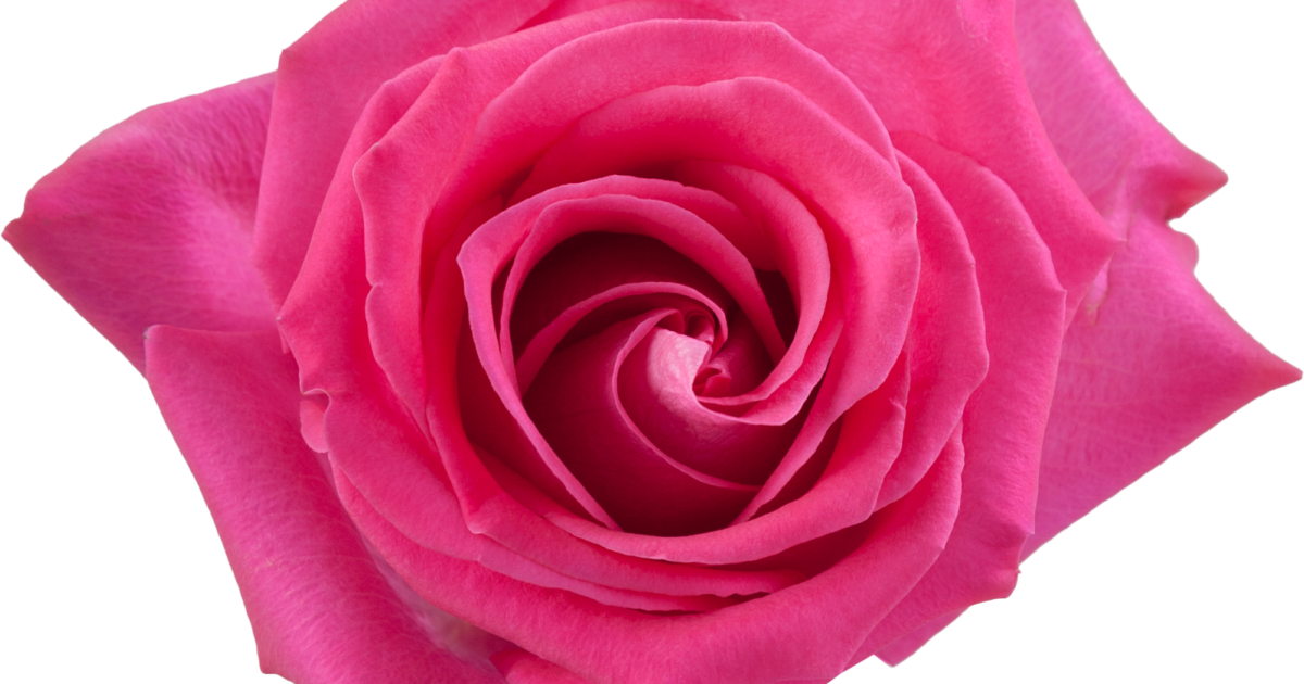 topaz_0e3a6bab-6368-441f-98c7-